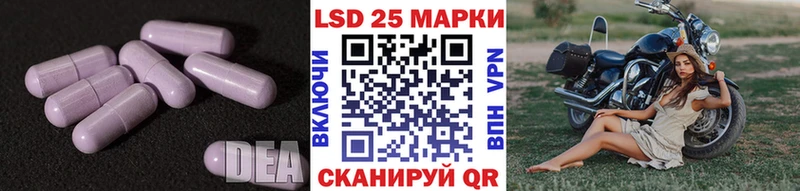 OMG вход  сколько стоит  Старица  LSD-25 экстази ecstasy 