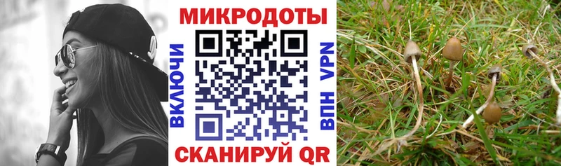 Псилоцибиновые грибы мухоморы  MEGA ТОР  Старица 